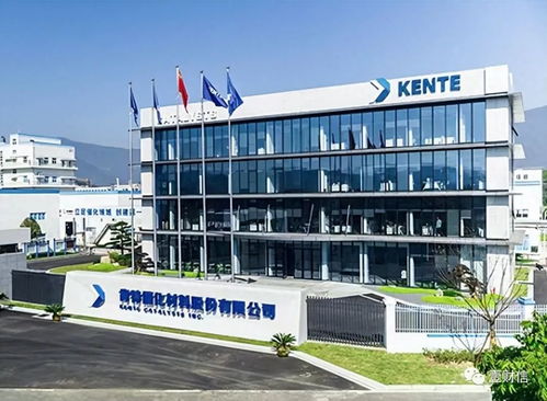 肯特催化战略失衡 重销售管理轻研发，技术开发人员薪酬双标引关注